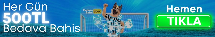 Rexbet503